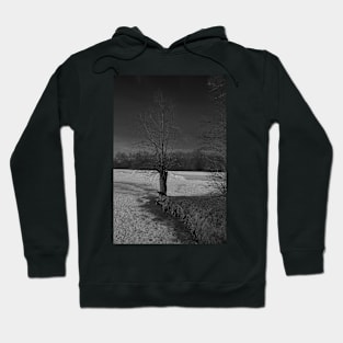 Out on a limb Hoodie